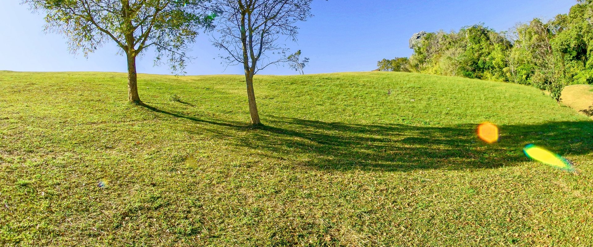 Finding Land with Good Investment Potential